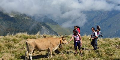 Le patrimoine naturel