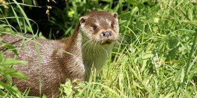 Mesurer l’impact environnemental de vos projets : pourquoi, comment ?