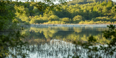 Les Parcs naturels régionaux (PNR)